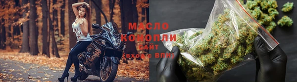 ешки Горняк