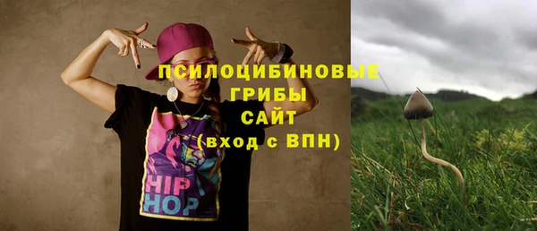 бутират Горнозаводск