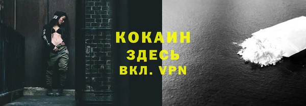 ешки Горняк