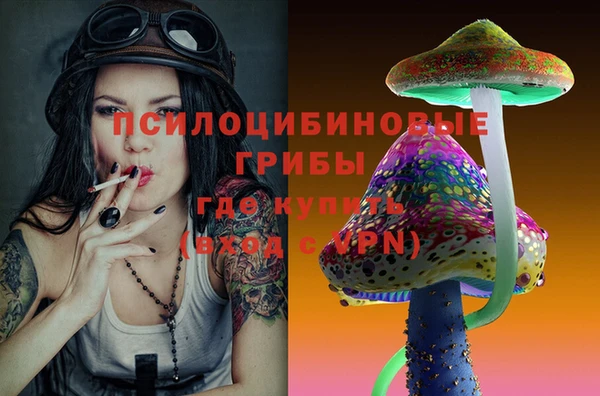 бутират Горнозаводск