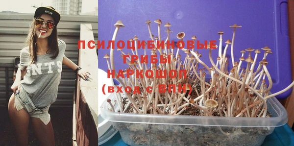 ешки Горняк
