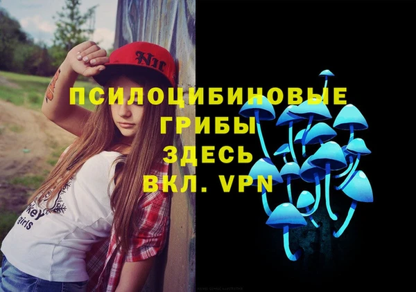 apvp Горно-Алтайск