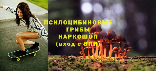 apvp Горно-Алтайск