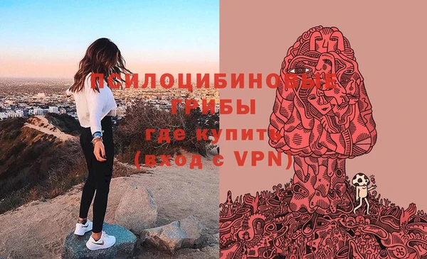 apvp Горно-Алтайск