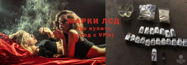 ешки Горняк