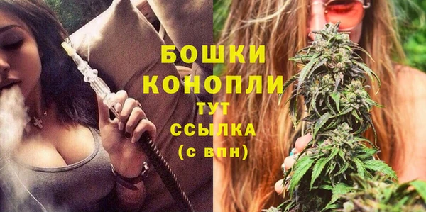 apvp Горно-Алтайск