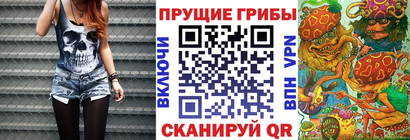 наркотики  Петрозаводск  Псилоцибиновые грибы Cubensis 
