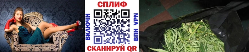 Шишки марихуана марихуана Петрозаводск